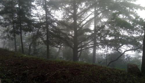 Quinta das Aveleiras - Foto 4