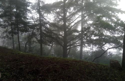 Quinta das Aveleiras - Foto 4