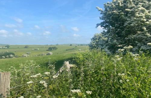 Goatchers Cottage & Goatchers Studio - Foto 12