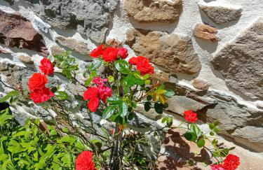 Casa vacanze Raggio di Sole - Foto 67