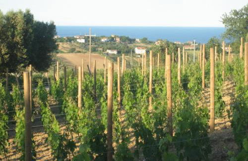 L'Orso e L'Ape B&B - Foto 43