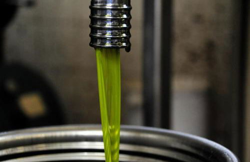 Casa Tarrini - Foto 40