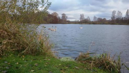 Wohnung am Wald - Foto 2