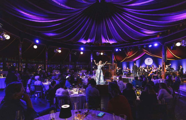 Concert de Strauss avec dîner dans le Prater - Photo 7