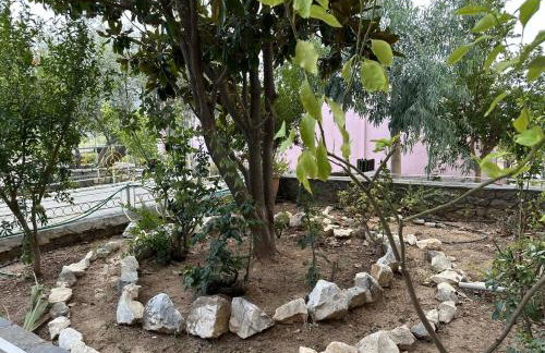 Antonia's Apartments - Foto 25