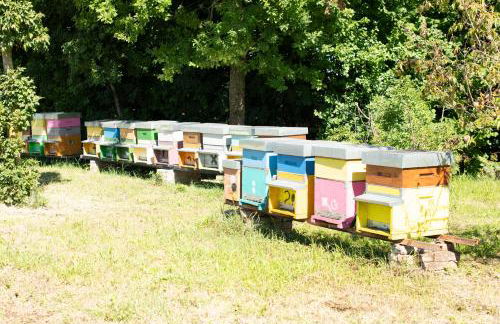 Agriturismo da Natalino - Foto 65