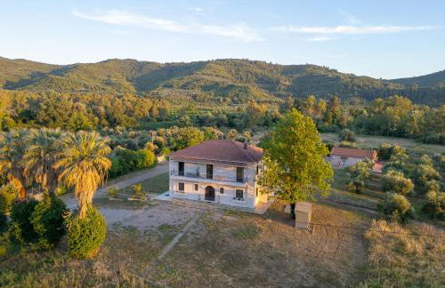 Antinea Olympian Villa - Foto 82