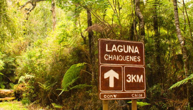 Senderismo por el Parque Nacional Alerce Andino - Foto 4