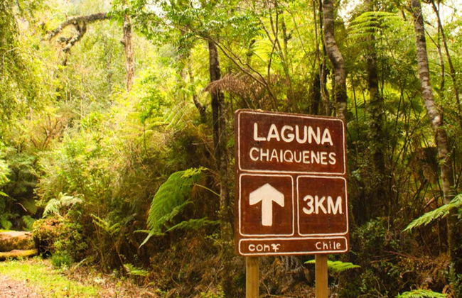Senderismo por el Parque Nacional Alerce Andino - Foto 4