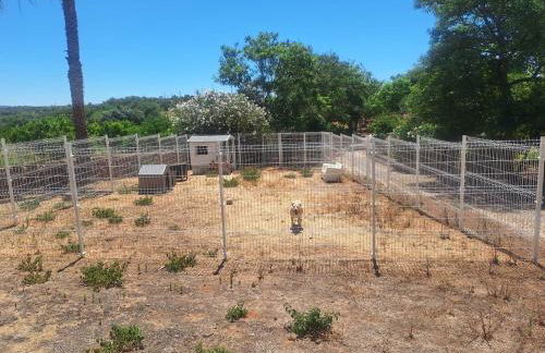 Private Wooden House - Foto 16