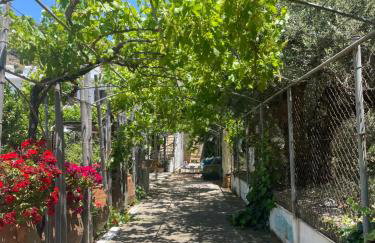 Terre Cretoise - Foto 14