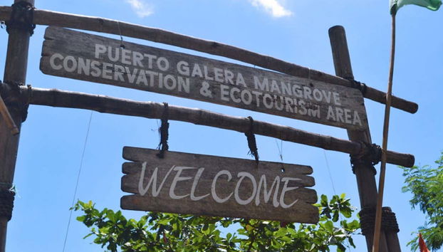 Puerto Galera Mangrove Conservation & Ecotourism Area