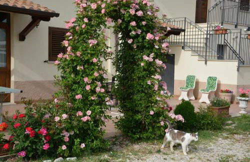 Nonna Alda - Foto 26