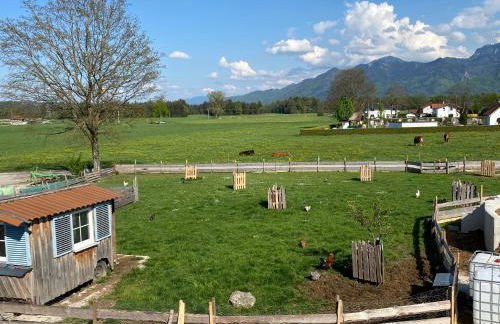 Homerhof - Hofmann Johann junior | Chiemgau Karte - Foto 13