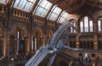 Modern 1-Bedroom Apartments near Shoreditch, Old Street & Hoxton by NourNest Apartments - Foto 20