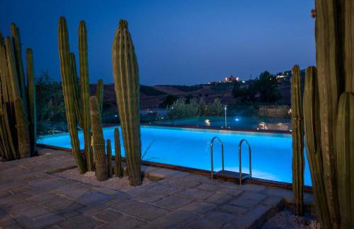 Garden Cactus - Foto 23