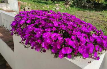 Monte da Bisa - Tavira - Foto 24