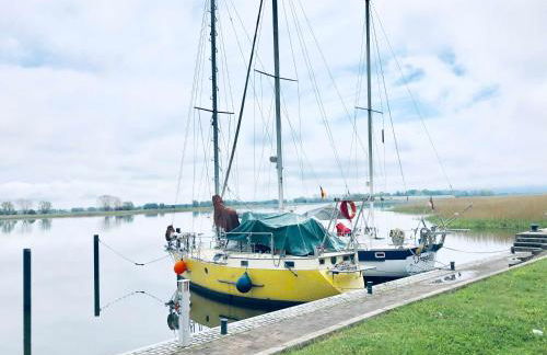 Komfortables Reetdachferienhaus Hasel 1 - Foto 8