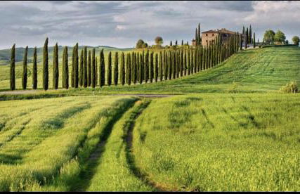 A CASA DI ALE - Foto 23