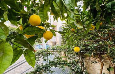 Ferdirisa Vesuvio Home&Garden - Foto 23