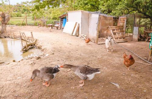 Il Cerretello - Tuscan Experience - Foto 34