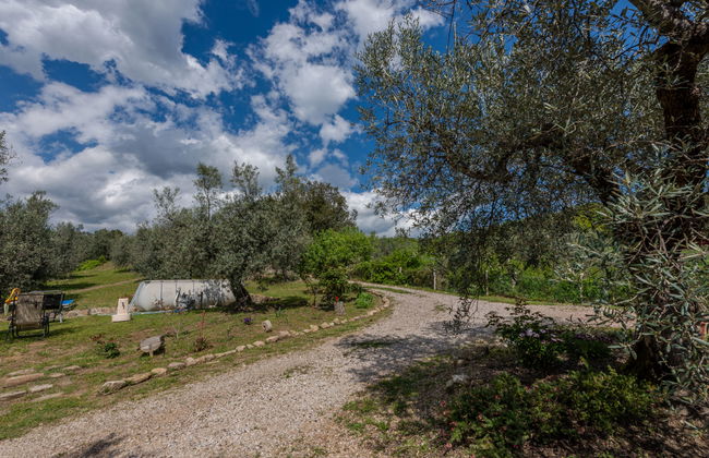 Fonte al Tesoro - Foto 21