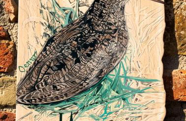 Il Sodino 1738 - Locazione Turistica - Photo 51