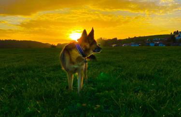 Moderne, 1-Zimmer Ferienwohnung mit Bergblick - Foto 18