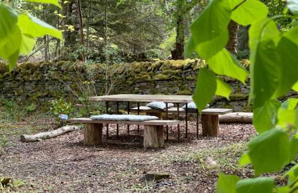 Dark Sky Retreat Perfect to Gather and Celebrate! - Foto 52