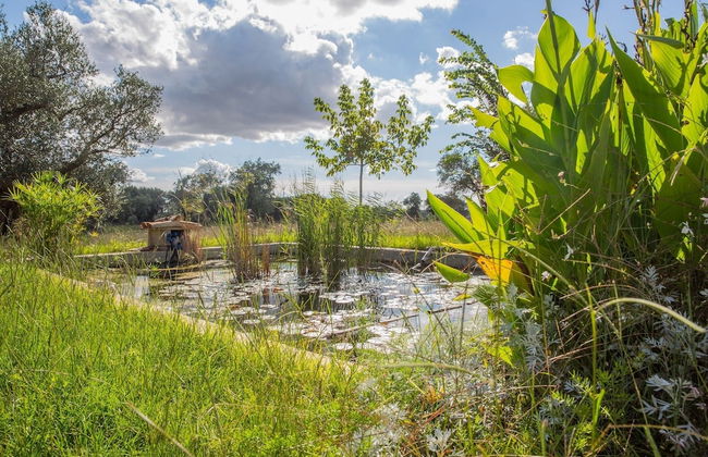 Azienda Agricola Spirdo - Foto 42