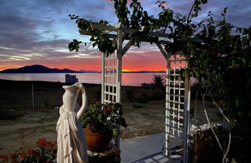 Anatoli Studios - Foto 5