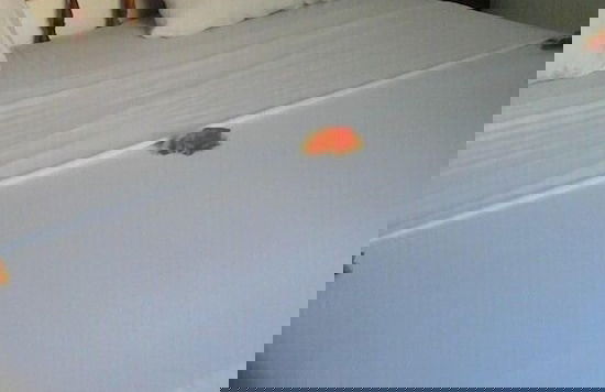 lilis Apartments - Foto 3