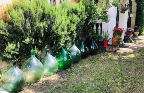 Cascina Baracico, circondati dalla natura - Foto 60