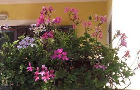 Apartments Nina - Photo 78