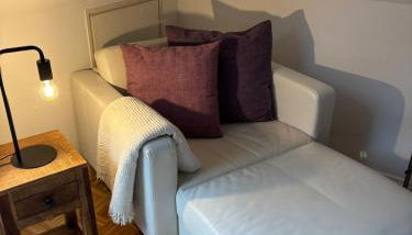 Nordheide mit Hund - Foto 3