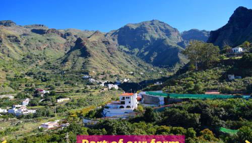 Casa Camino Tamadaba II (bottom home） - Foto 3