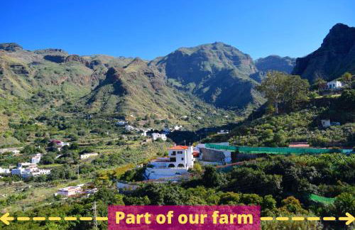 Casa Camino Tamadaba II (bottom home) - Foto 3