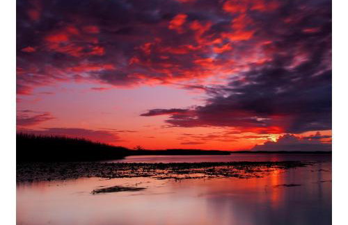 Apartamenty i Domki Osińscy - Foto 8