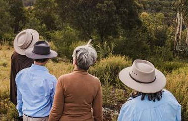 Canberra Wildlife Watching Tour - Photo 1