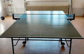 Ferienwohnung am Waldsee mit Schwimmbad - Foto 27