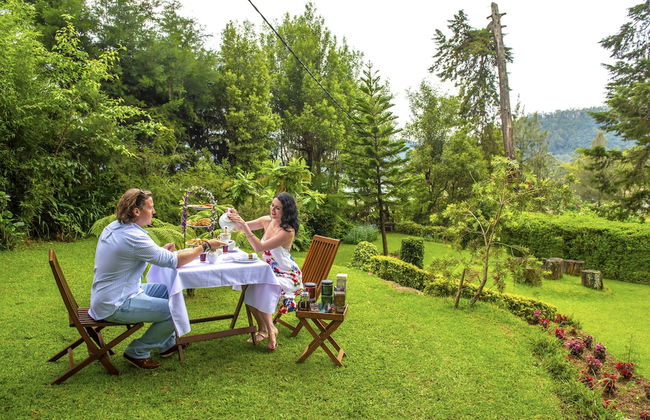 Brockenhurst Bungalow - Foto 32