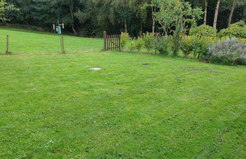 Luxurious lodge, Woodlands View, Hot tub at Rudyard Lake, couples or small family - Photo 3