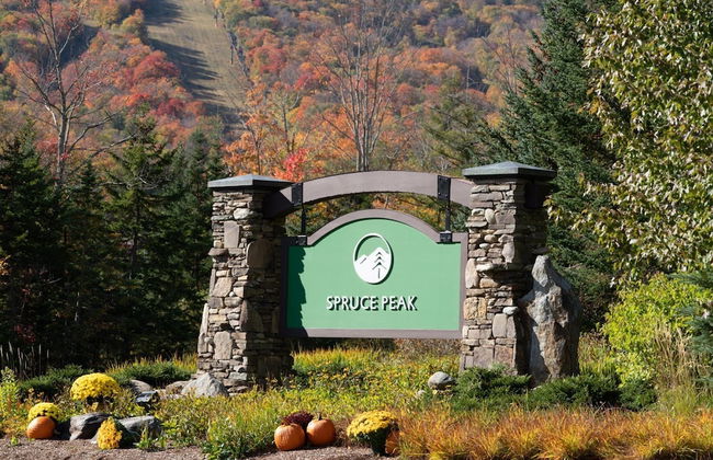 2 BR Lodge at Spruce Peak - Photo 27