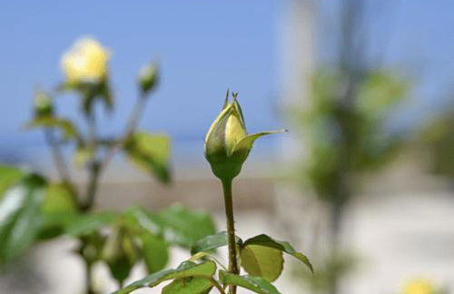 ‘Sophie’s Villa’ - Foto 31