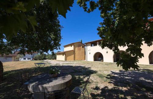 azienda agricola lo zolfino - Photo 4