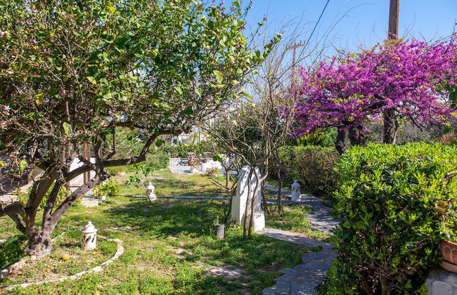 The Kokkini Beach Retreat - Foto 20