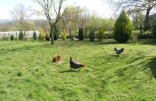 Les Jardins des 3 Provinces- Gîte - Foto 25