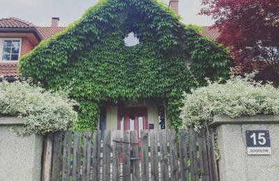 Stasiówka Gospodarstwo Agroturystyczne - Foto 14