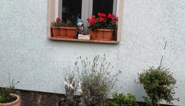 Ferienwohnung - b66233 - Foto 2