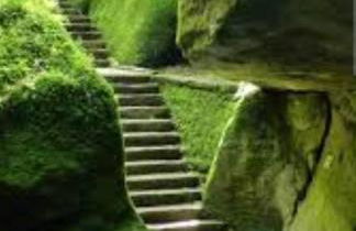 La Casetta di Noah - Foto 54